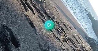 beach fuck|beach fuck Search